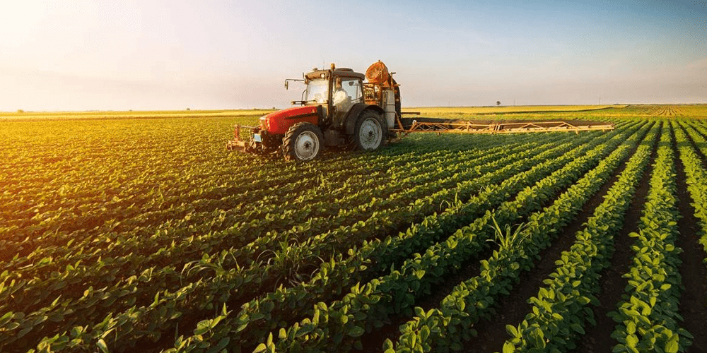Categoría Agroindustria